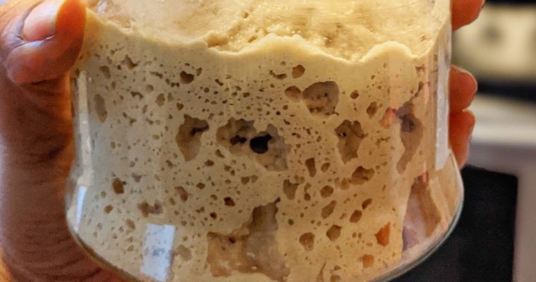 Sourdough Starter